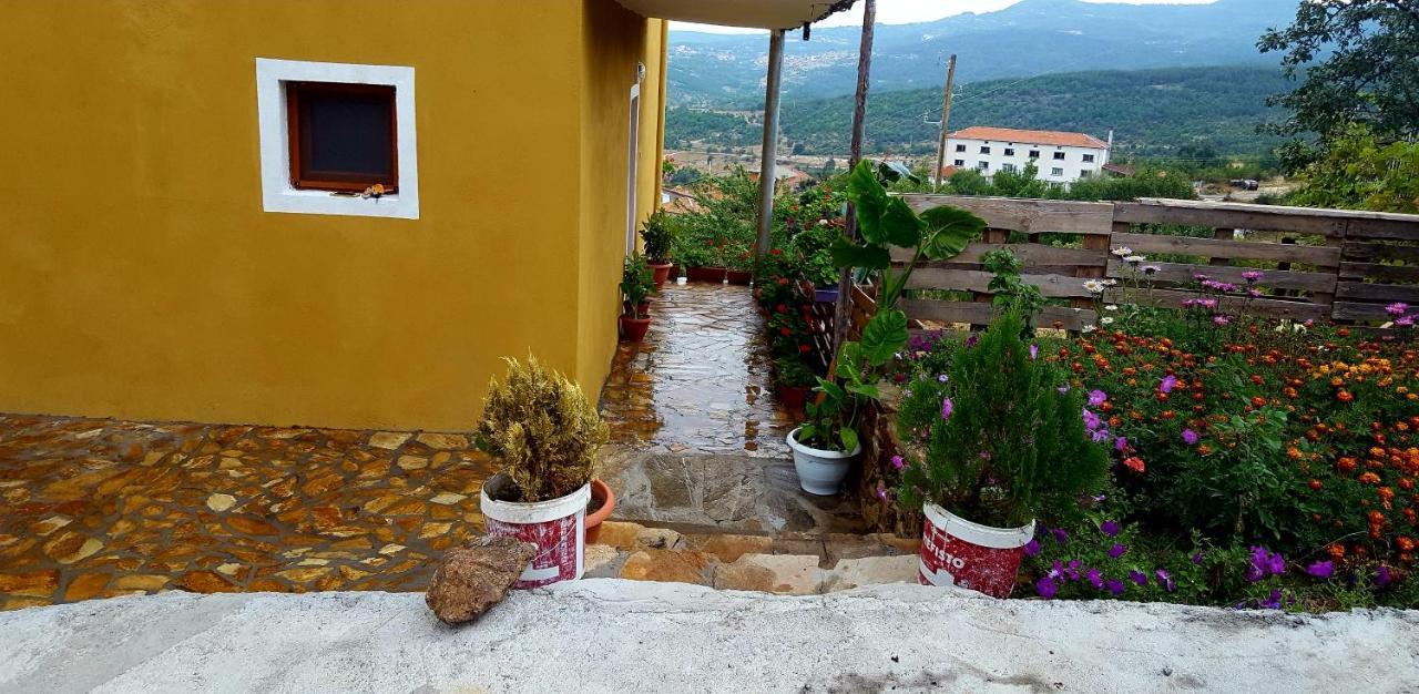 Guest House Agush Kribul Bagian luar foto