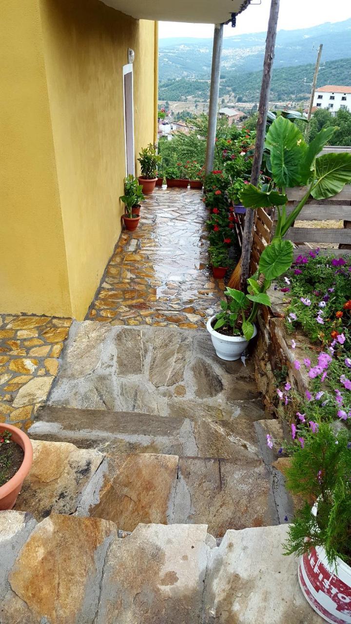 Guest House Agush Kribul Bagian luar foto